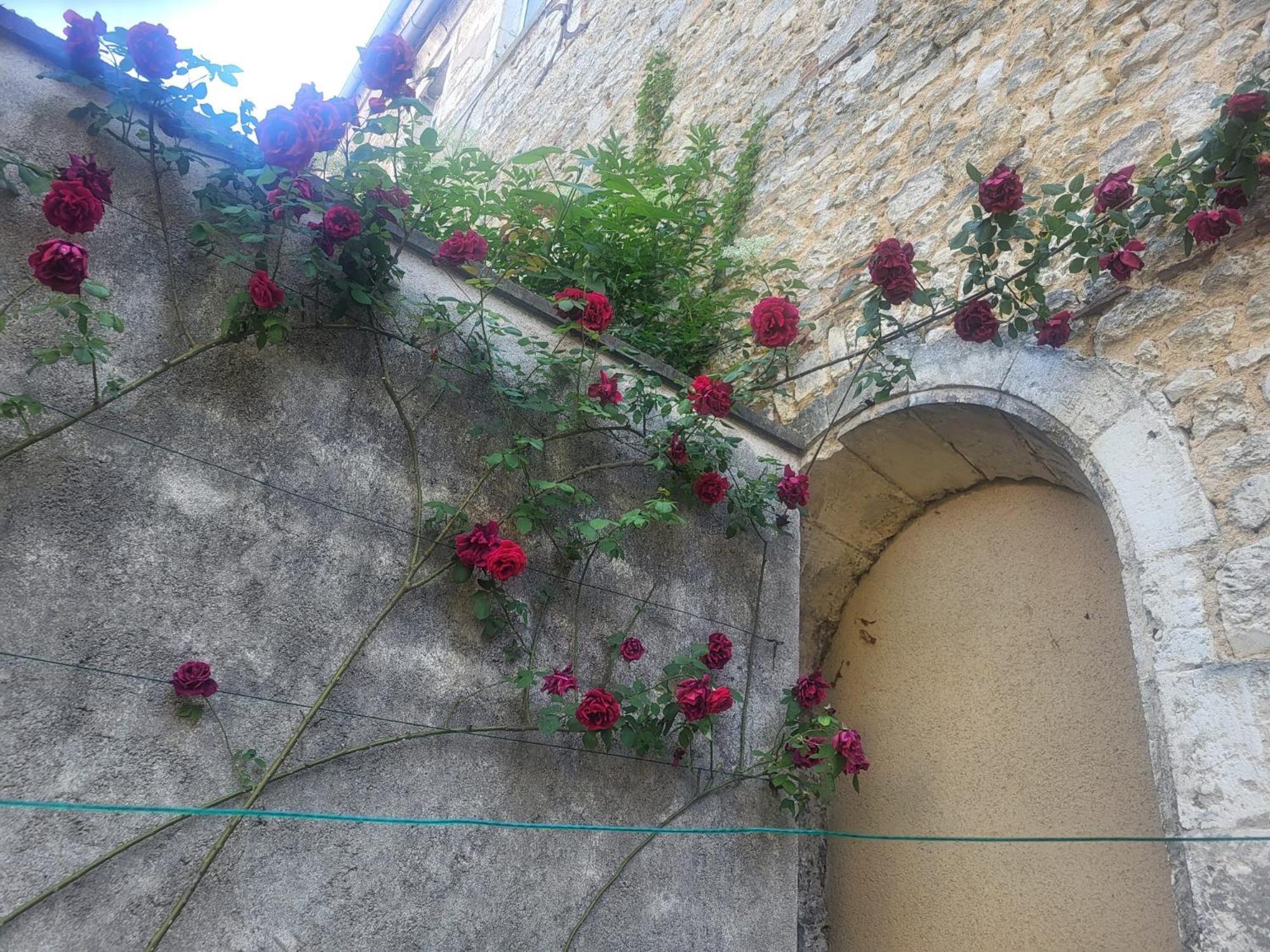 부르주 Au Puits De L'Abbaye 아파트 외부 사진